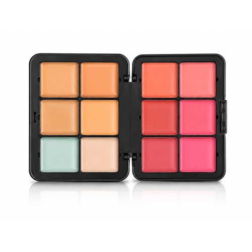 Rose Berry ULTRA CONCEALER & BLUSHER CREAM 12 in 6g