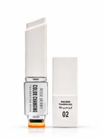 COLOR CHANGING FOUNDATION STICK with brush - 10g