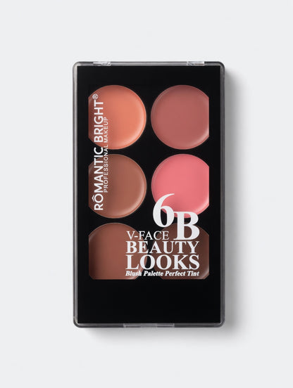 6B V-FACE BEAUTY LOOKS Blush Palette Perfect Tint 6 colors creamy - shade B 16.8g