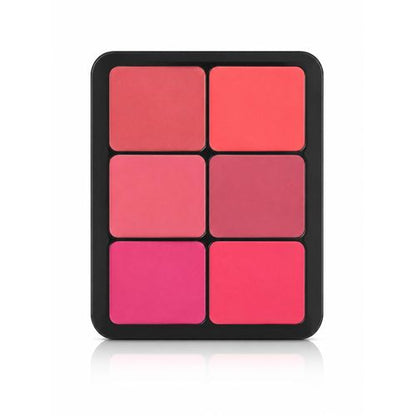 Rose Berry ULTRA CONCEALER & BLUSHER CREAM 12 in 6g