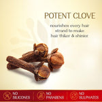 Herbsindia Clove & 7 Herbal Seeds Hair Oil With Nourish Tube 180 ml