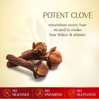 Herbsindia Clove & 7 Herbal Seeds Hair Oil With Nourish Tube 180 ml