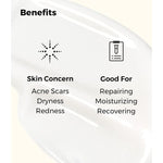 Cosrx Advanced Snail 92 All In One Cream 100g