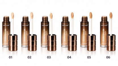 CONCEALER SOFT SKIN HD LONG WEAR MODEL 3005 Shade 06
