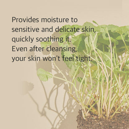 Centella Cleansing Foam – Gentle Low pH 4.5 Moisturizing Face Wash for Sensitive & Acne-Prone Skin - 150ml